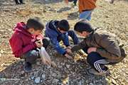 اجرای طرح «سفیران سبز»با حضور کودکان و نوجوانان در آینه تصویر